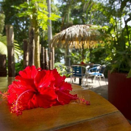 Villas Del Caribe Puerto Viejo de Talamanca Bagian luar foto