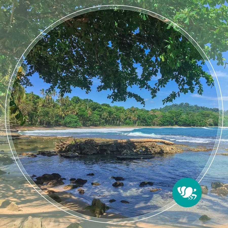 Villas Del Caribe Puerto Viejo de Talamanca Bagian luar foto