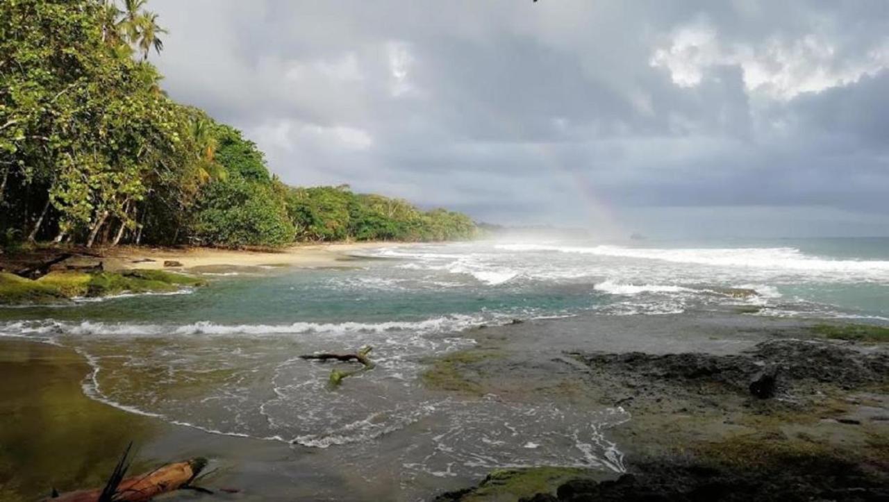 Villas Del Caribe Puerto Viejo de Talamanca Bagian luar foto
