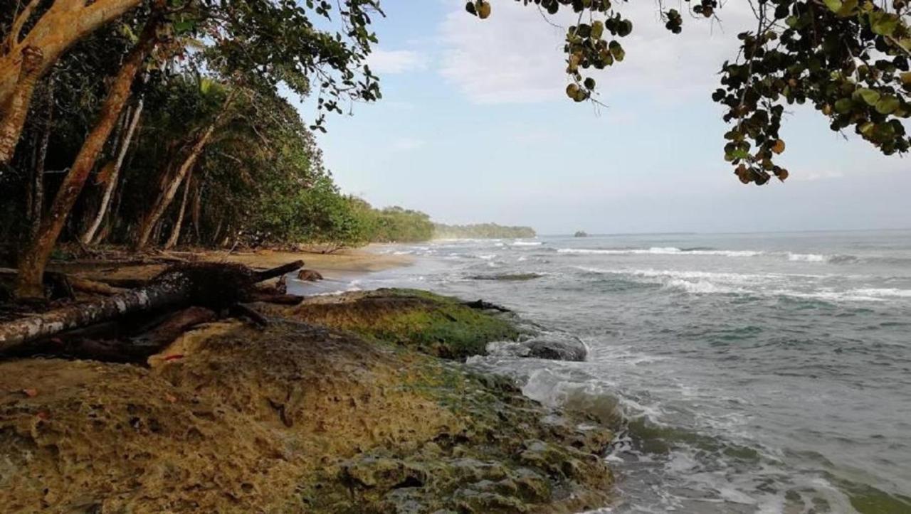 Villas Del Caribe Puerto Viejo de Talamanca Bagian luar foto