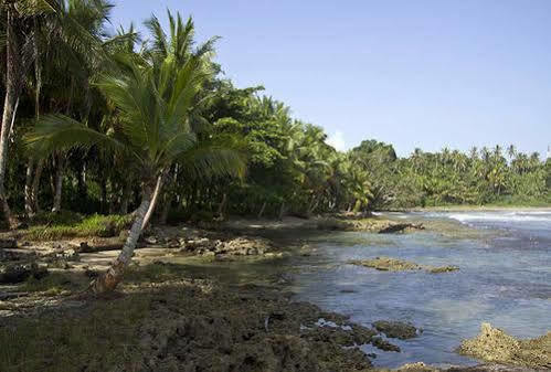 Villas Del Caribe Puerto Viejo de Talamanca Bagian luar foto