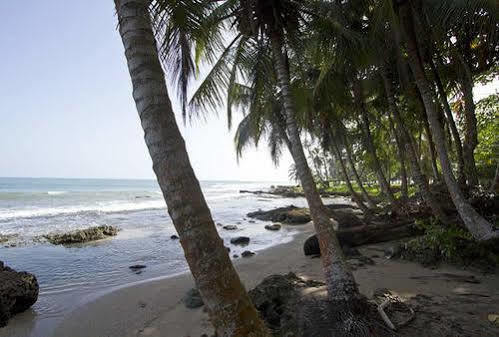 Villas Del Caribe Puerto Viejo de Talamanca Bagian luar foto